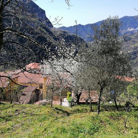 Il Metato Di Gallena Bed & Breakfast Stazzema Dış mekan fotoğraf