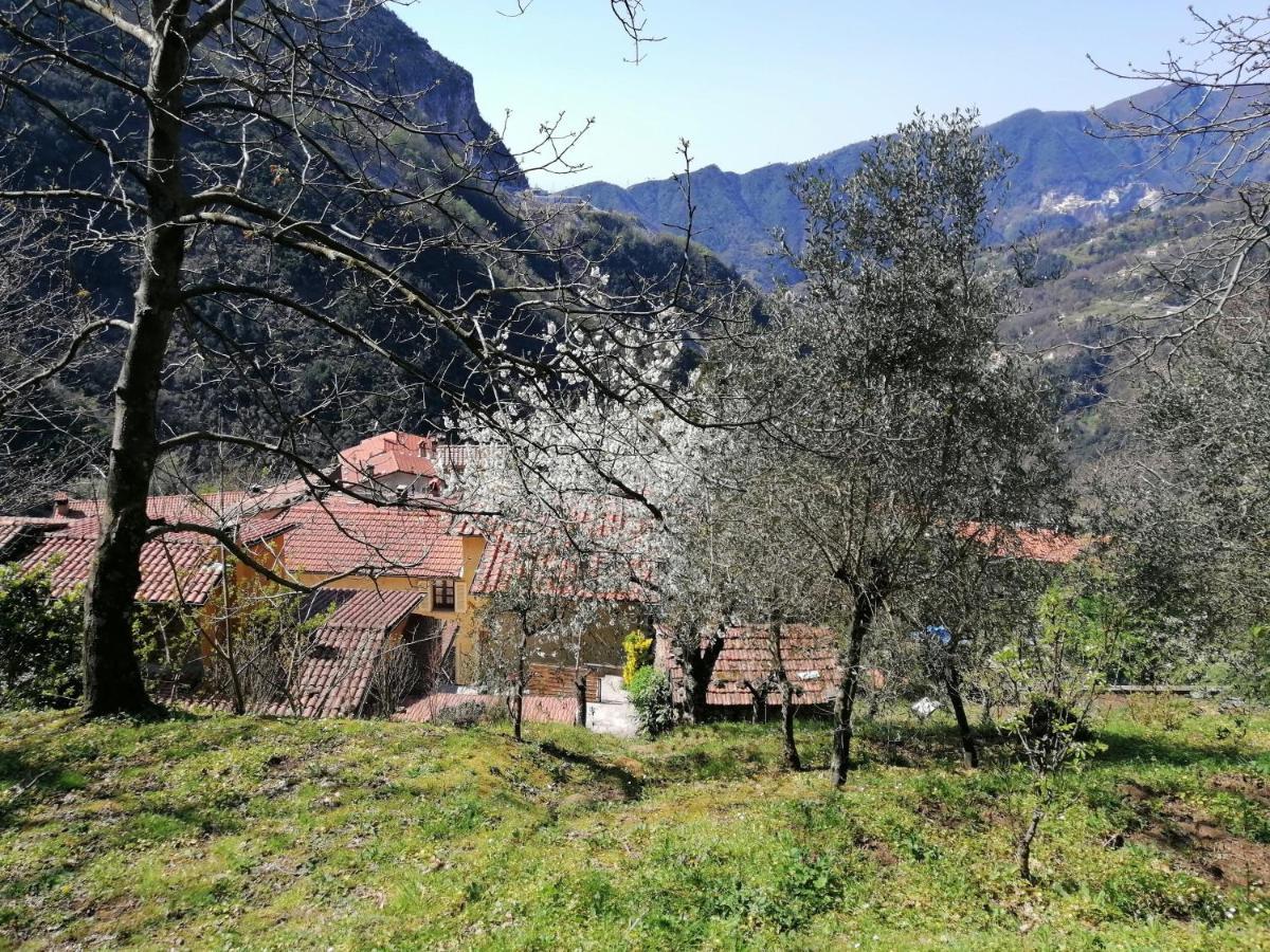 Il Metato Di Gallena Bed & Breakfast Stazzema Dış mekan fotoğraf