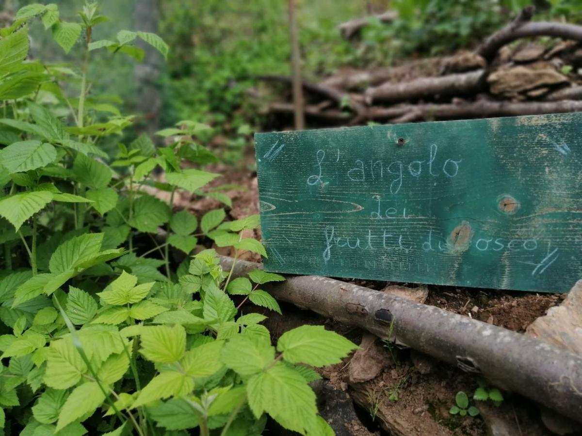 Il Metato Di Gallena Bed & Breakfast Stazzema Dış mekan fotoğraf