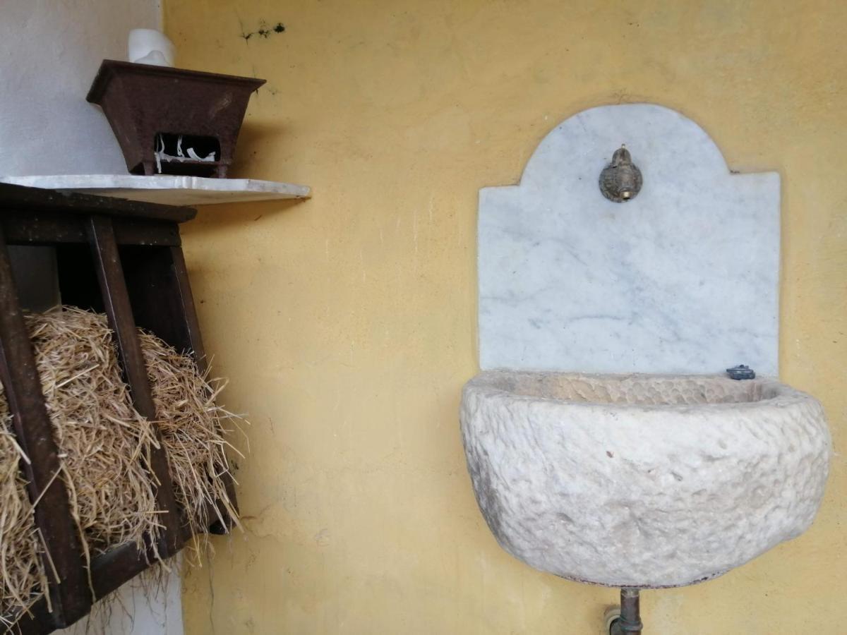 Il Metato Di Gallena Bed & Breakfast Stazzema Dış mekan fotoğraf