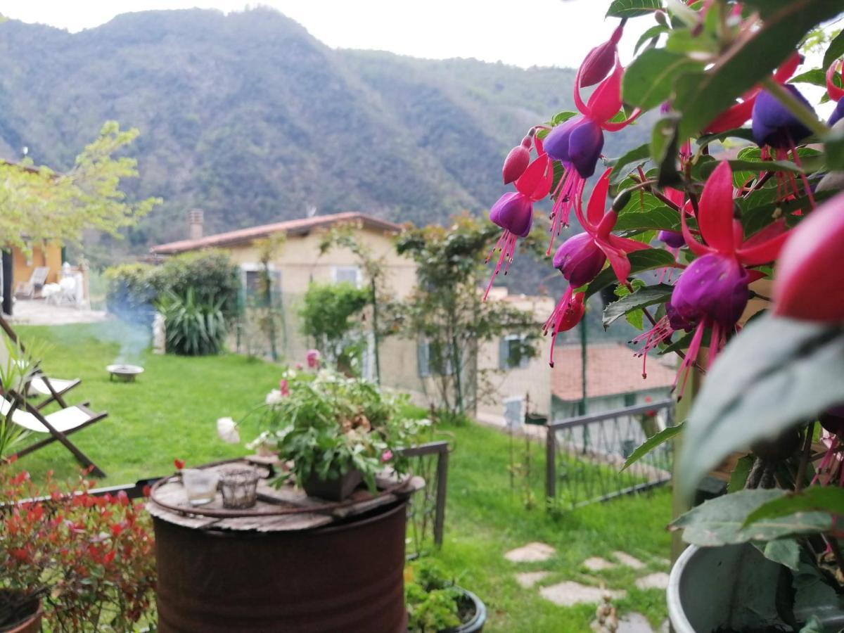 Il Metato Di Gallena Bed & Breakfast Stazzema Dış mekan fotoğraf