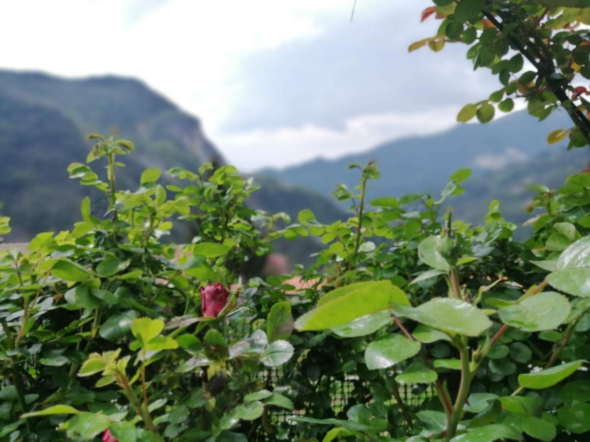 Il Metato Di Gallena Bed & Breakfast Stazzema Dış mekan fotoğraf
