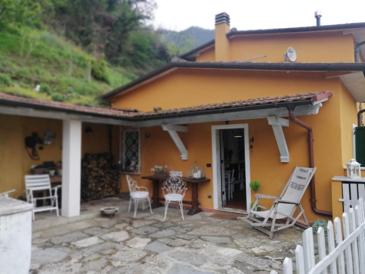 Il Metato Di Gallena Bed & Breakfast Stazzema Dış mekan fotoğraf