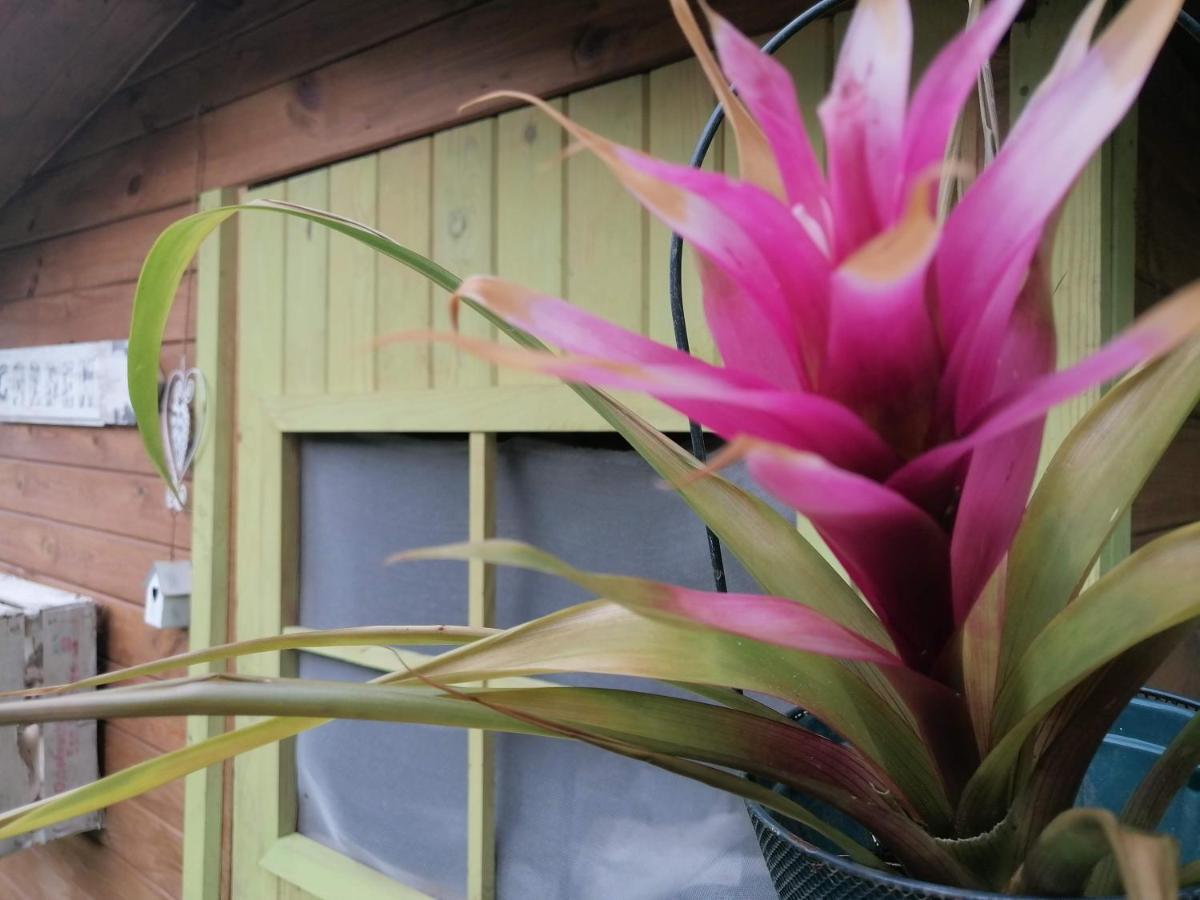 Il Metato Di Gallena Bed & Breakfast Stazzema Dış mekan fotoğraf