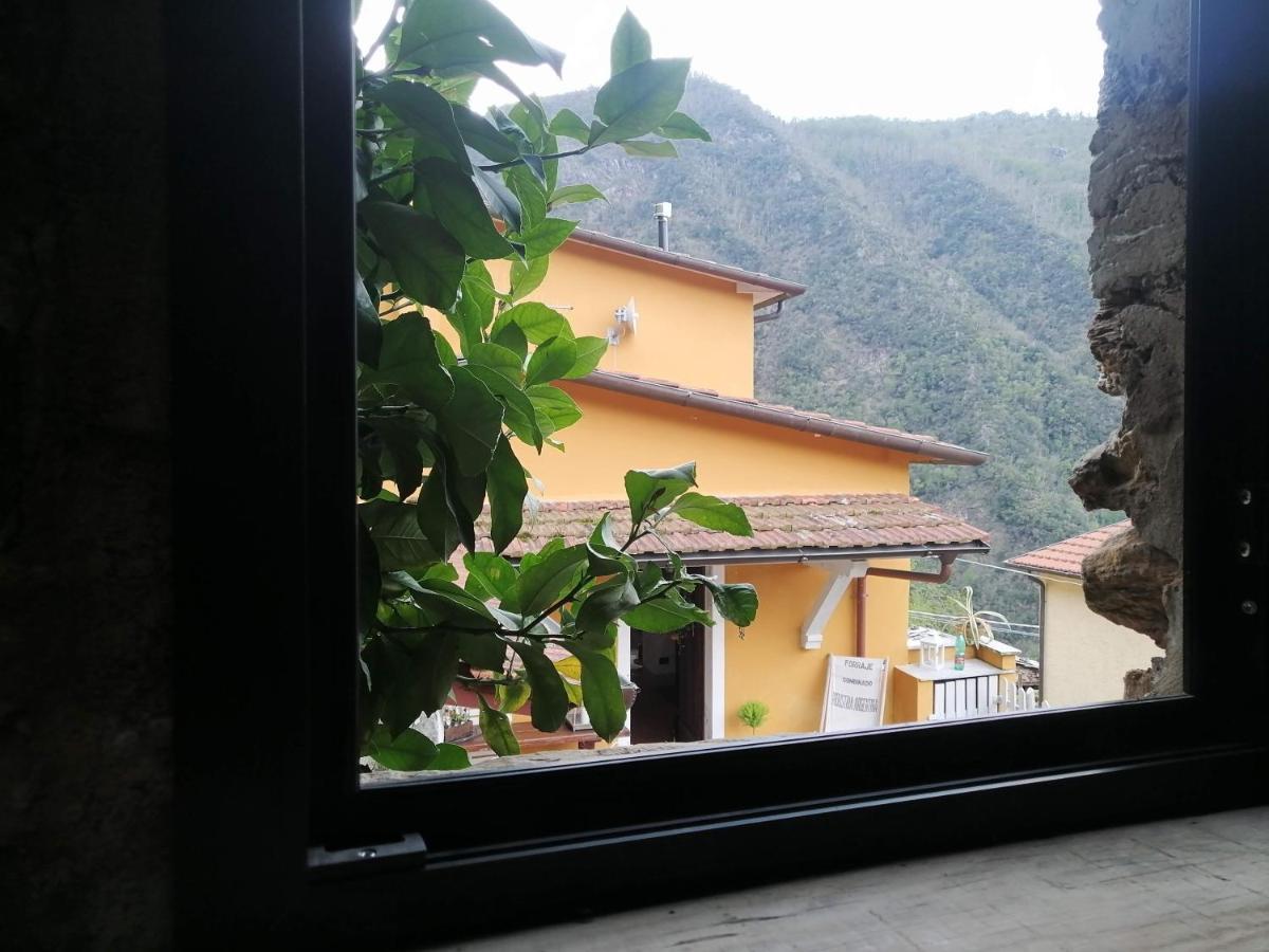 Il Metato Di Gallena Bed & Breakfast Stazzema Dış mekan fotoğraf