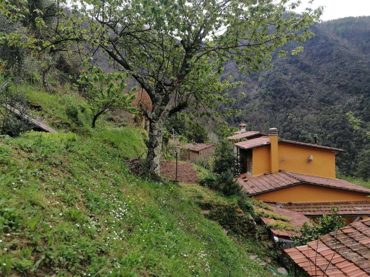 Il Metato Di Gallena Bed & Breakfast Stazzema Dış mekan fotoğraf