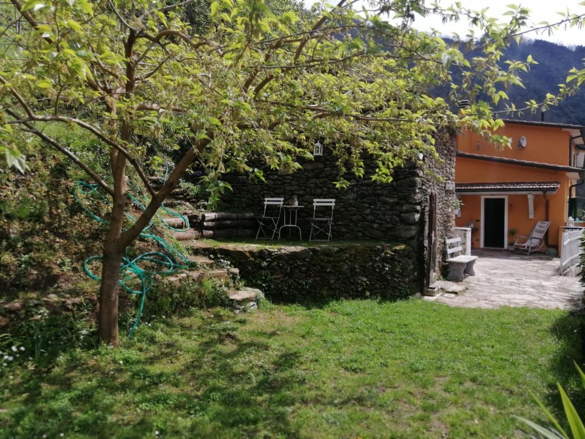 Il Metato Di Gallena Bed & Breakfast Stazzema Dış mekan fotoğraf
