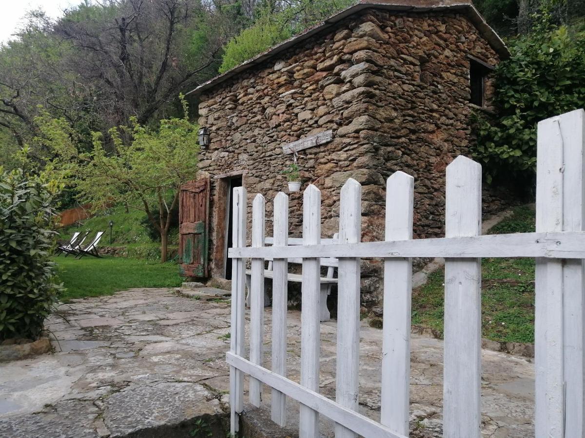 Il Metato Di Gallena Bed & Breakfast Stazzema Dış mekan fotoğraf