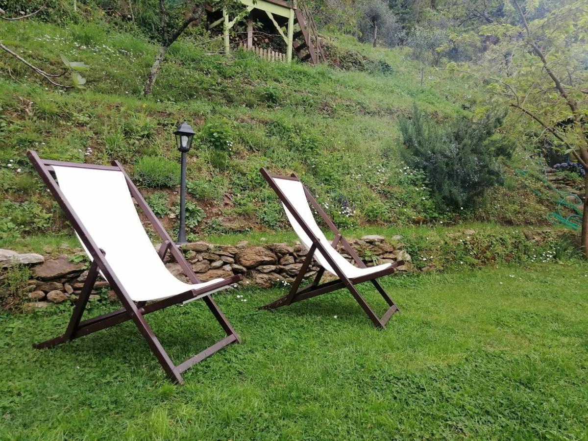 Il Metato Di Gallena Bed & Breakfast Stazzema Dış mekan fotoğraf