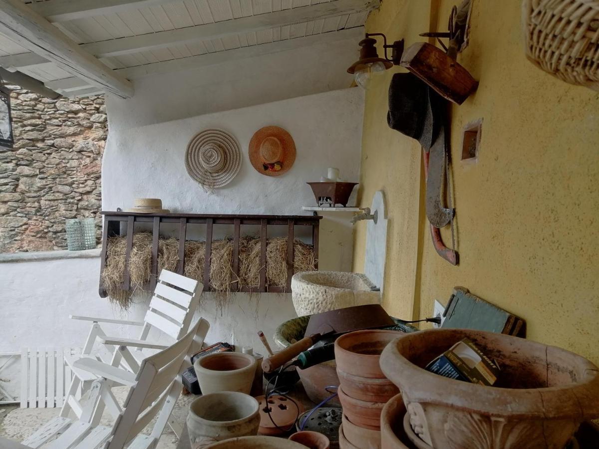Il Metato Di Gallena Bed & Breakfast Stazzema Dış mekan fotoğraf